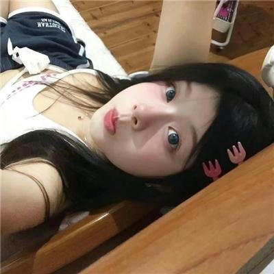 兔子共和国